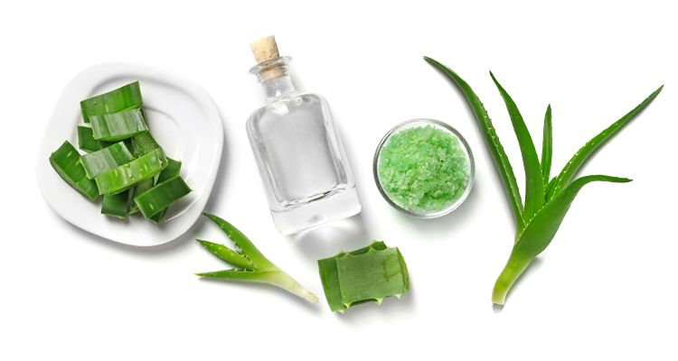 ALPHEA SPECIAL OLIO DOPOCERA ALOE VERA 1000ML - MR BEAUTY SALON 